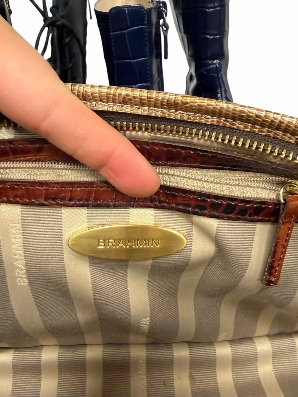 Brahmin structured croc